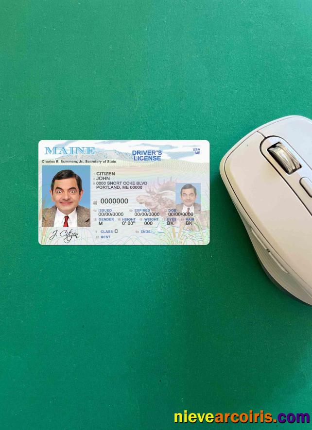 USA Maine state driving license photolook